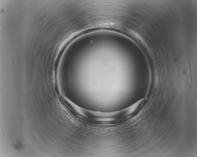 X0000057091324200509091303