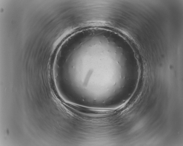 X0000057091325200509091303