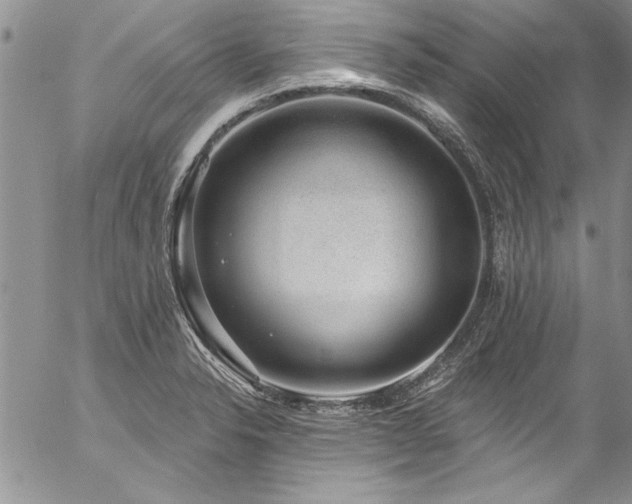 X0000057091326200509091303