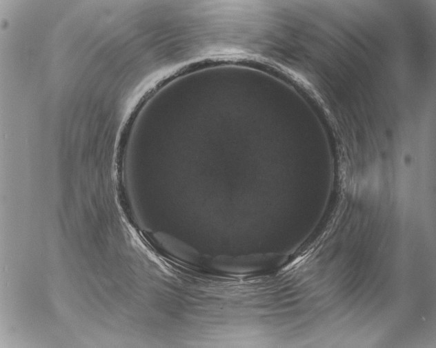 X0000057091327200509091303