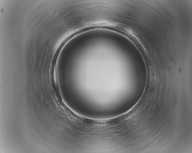 X0000057091328200509091303