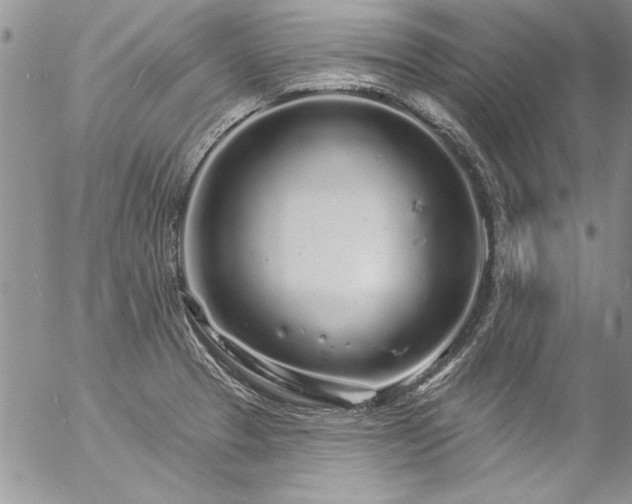 X0000057091329200509091303