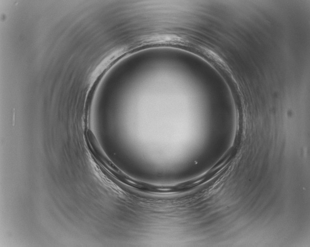 X0000057091330200509091303