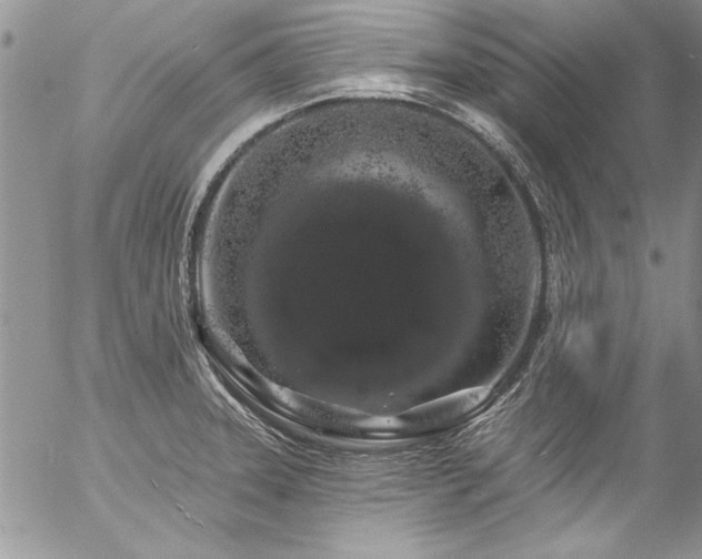 X0000057091331200509091303