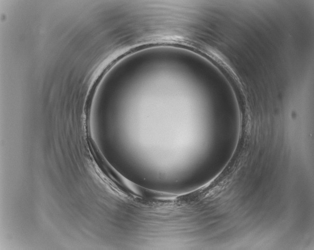 X0000057091332200509091303