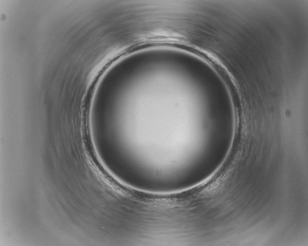 X0000057091333200509091303