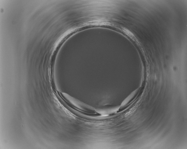 X0000057091334200509091303