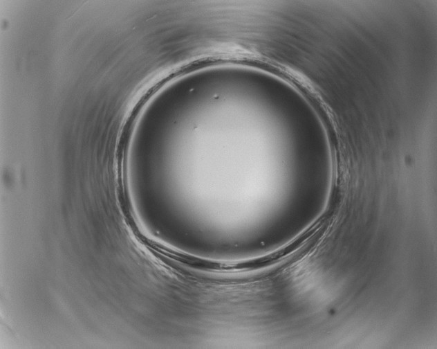 X0000057091335200509091303