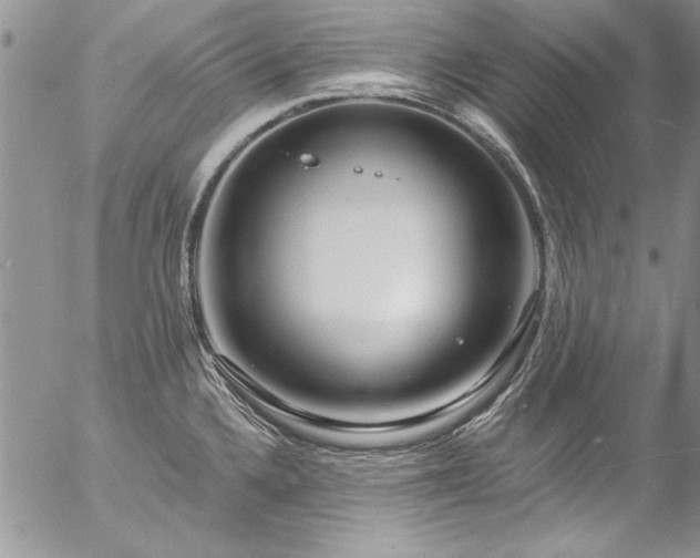 X0000057091336200509091303