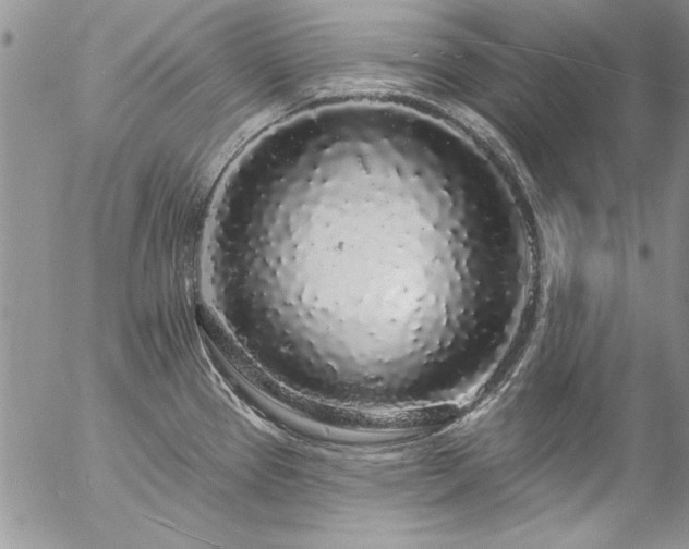 X0000057091337200509091303