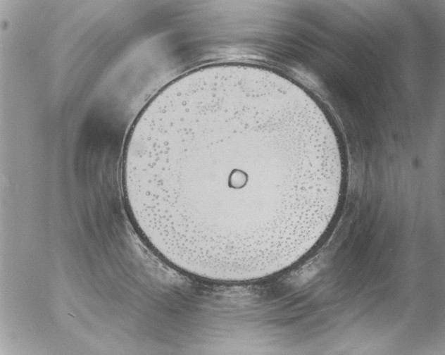 X0000057091338200509091303