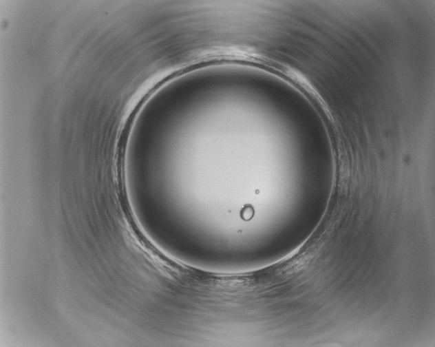 X0000057091339200509091303