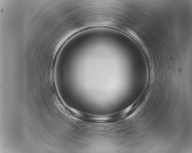 X0000057091340200509091303