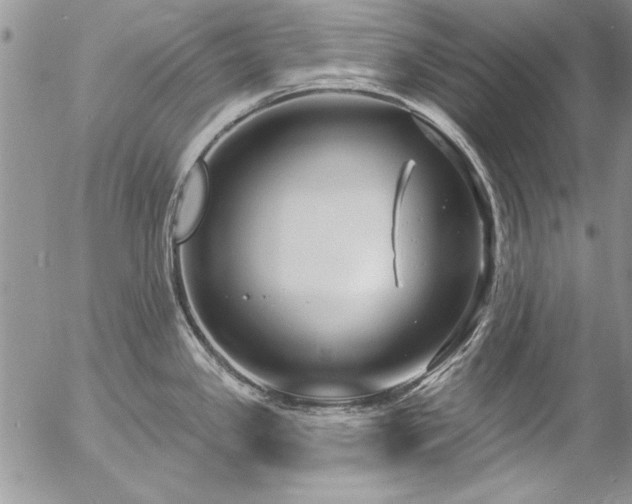 X0000057091341200509091303