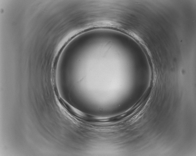 X0000057091342200509091304