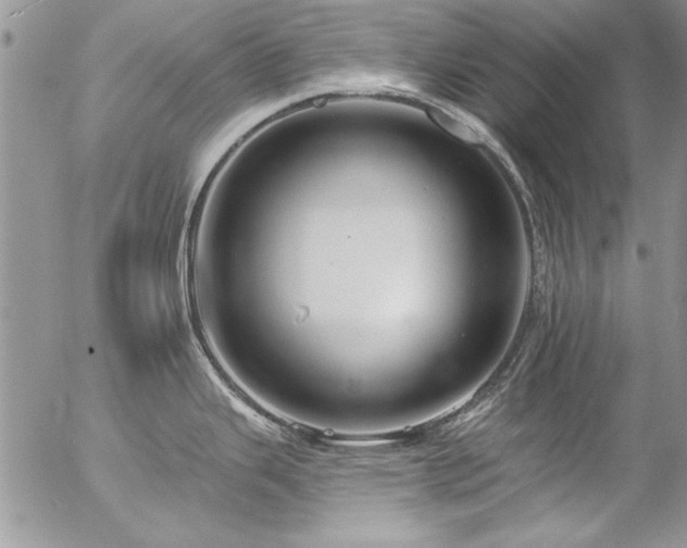 X0000057091343200509091304