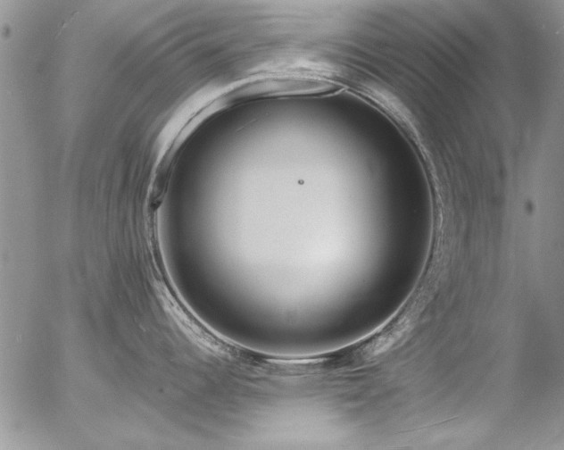 X0000057091344200509091304