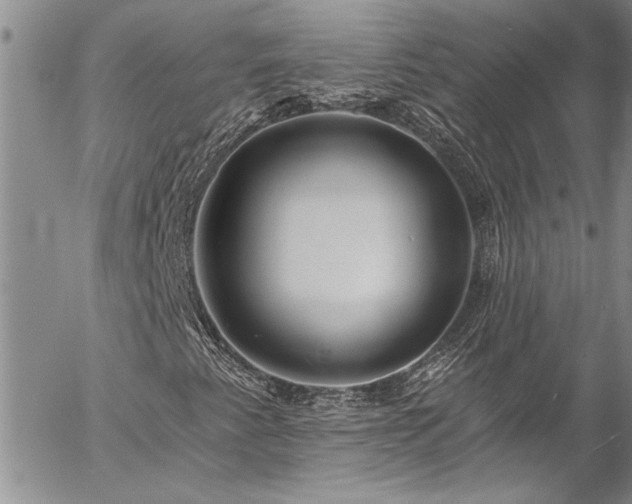 X0000057091345200509091303