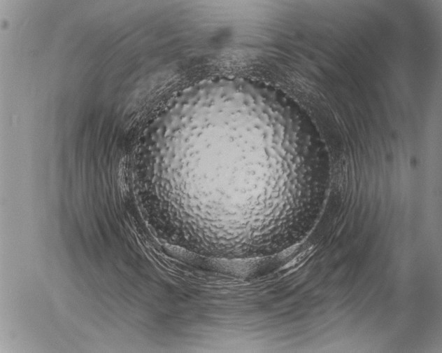 X0000057091346200509091303