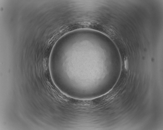 X0000057091347200509091303