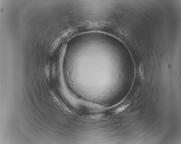 X0000057091348200509091303