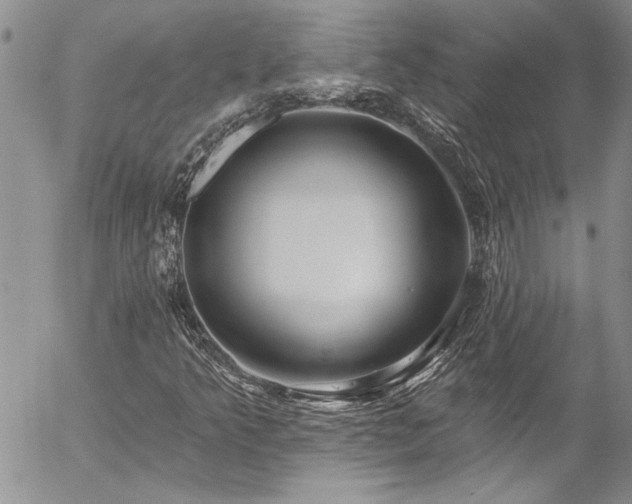 X0000057091349200509091303