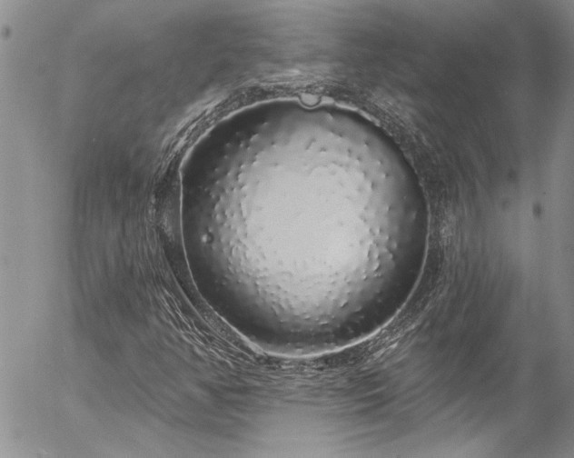 X0000057091350200509091303