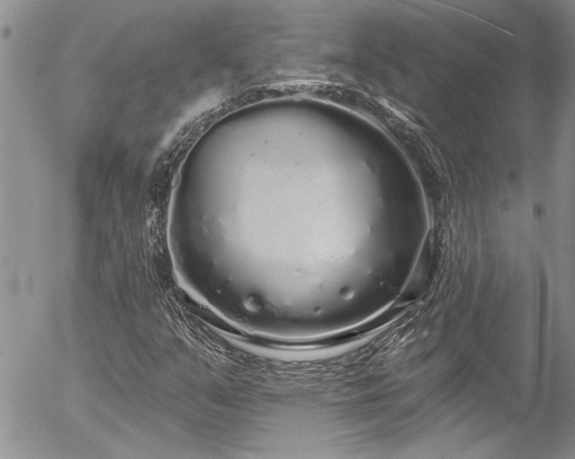 X0000057091351200509091303