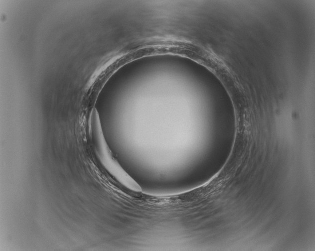 X0000057091352200509091303