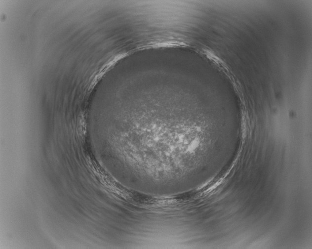 X0000057091353200509091303