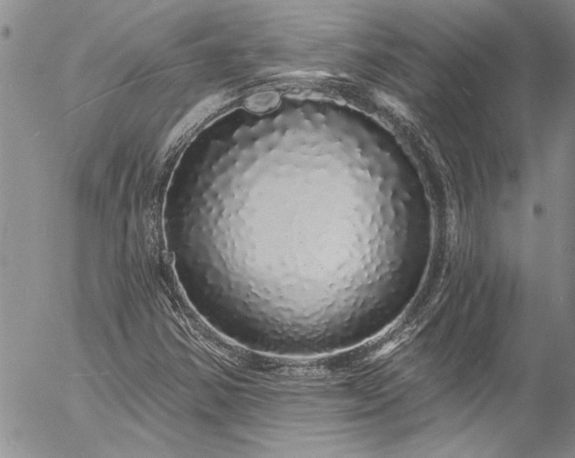 X0000057091354200509091303