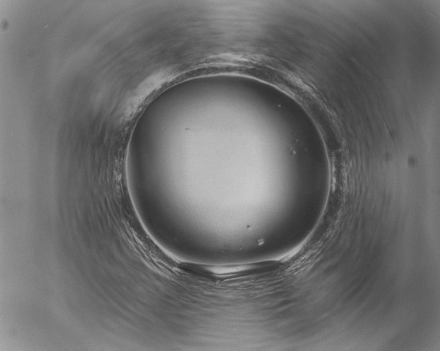 X0000057091355200509091303