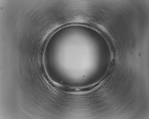 X0000057091356200509091303