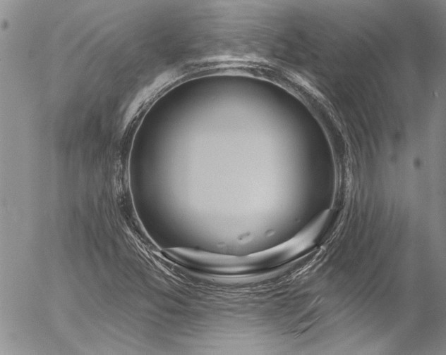 X0000057091357200509091303