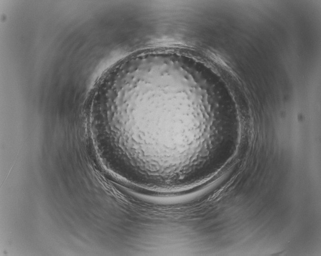 X0000057091358200509091303