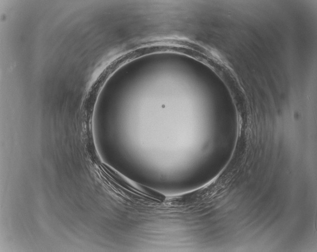 X0000057091360200509091303