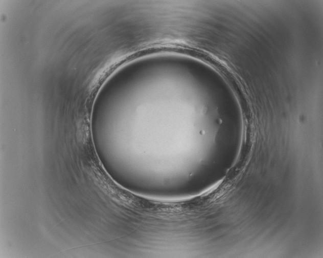 X0000057091363200509091302