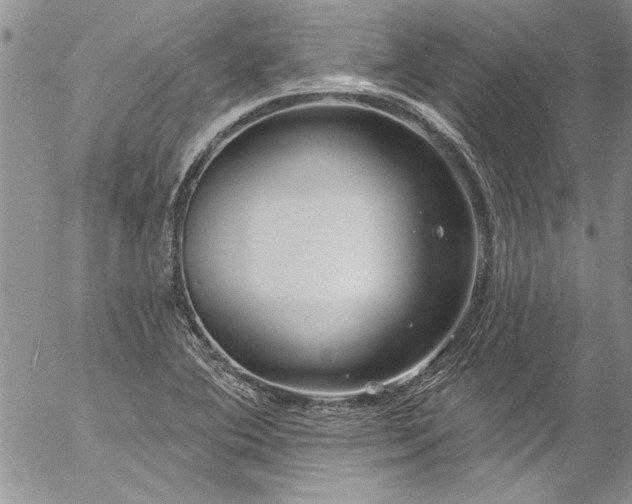 X0000057091364200509091302