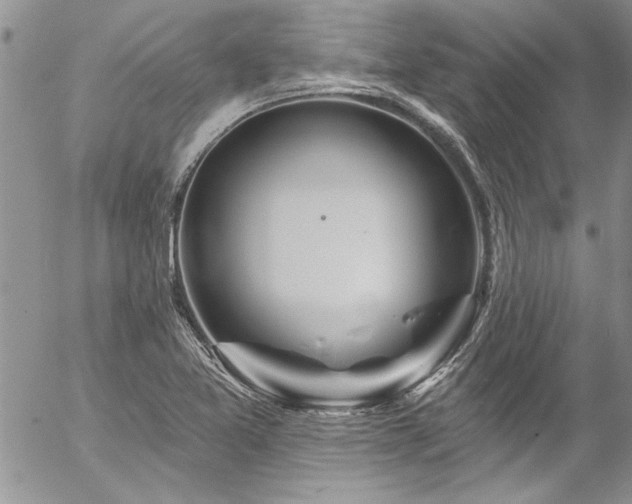 X0000057091365200509091302