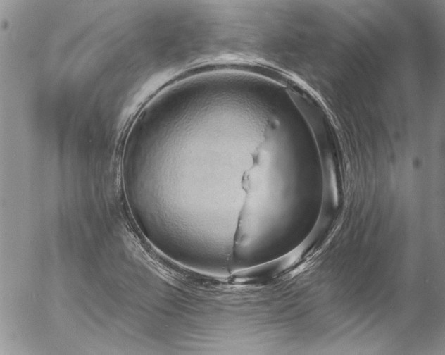 X0000057091367200509091302