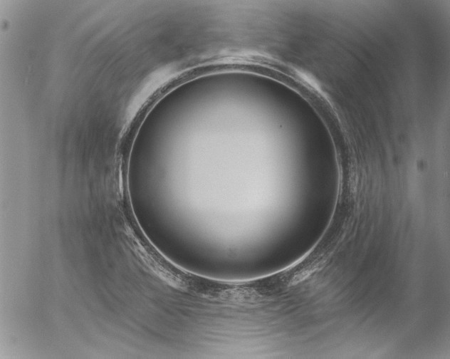 X0000057091368200509091302