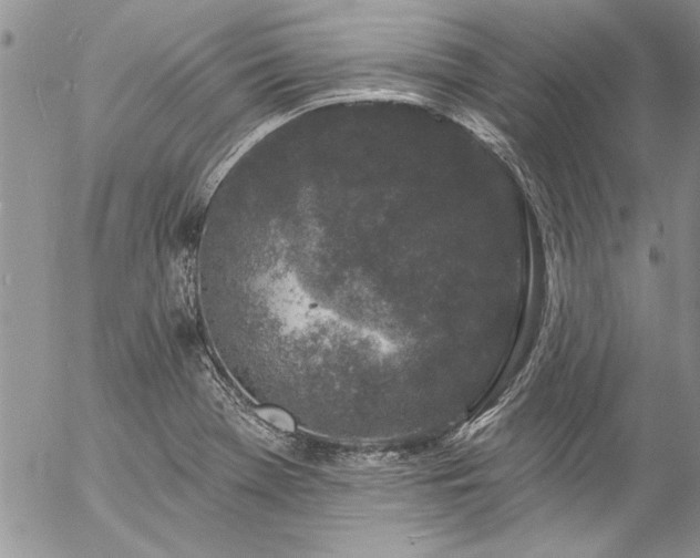 X0000057091369200509091302