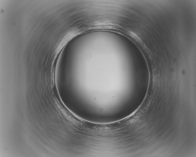 X0000057091370200509091302