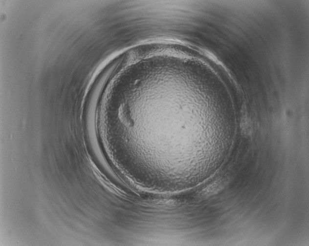 X0000057091372200509091302