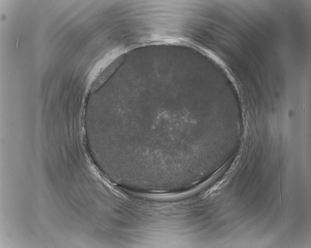 X0000057091373200509091302