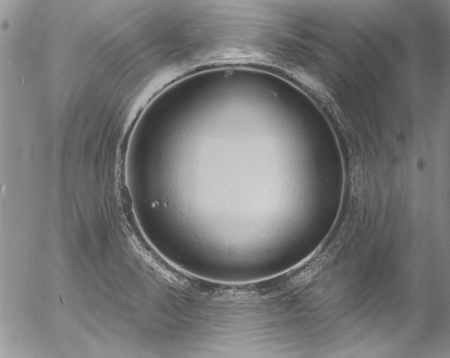 X0000057091374200509091302