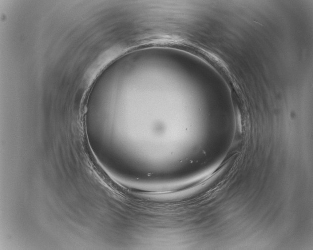 X0000057091375200509091302