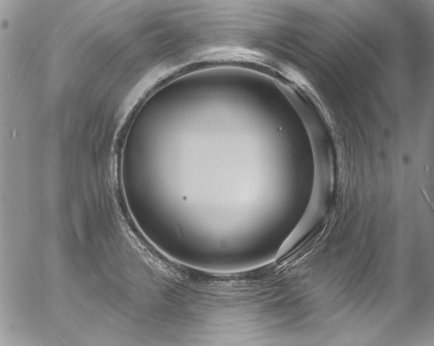 X0000057091376200509091302