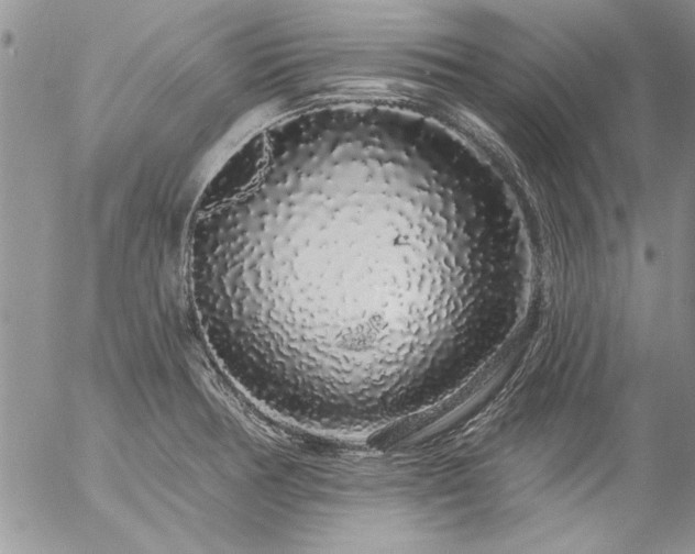 X0000057091378200509091302