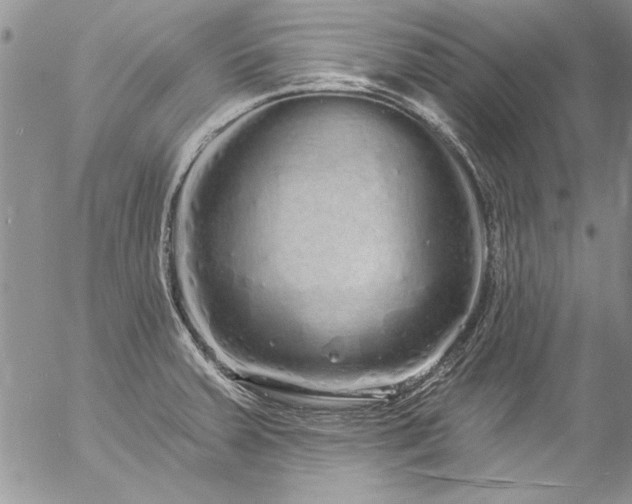 X0000057091379200509091302